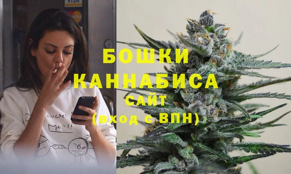 молекула духа Балахна