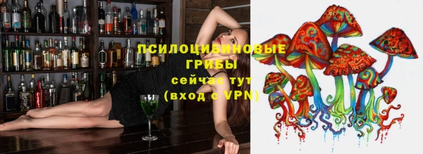 молекула духа Балахна