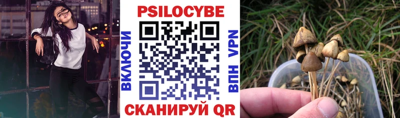 Галлюциногенные грибы мухоморы где можно купить blacksprut ссылка Ессентуки